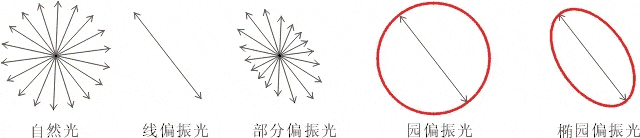 什么是偏振光？偏振光是如何完成檢測的？
