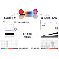 線性漸變?yōu)V光片是什么？有何特點？
