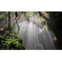 光的干涉、衍射、折射、反射、散射